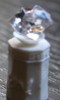 Ghost Stories : figurine